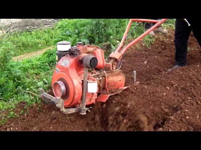 Ruggerini RD81 Rotovator - 10HP