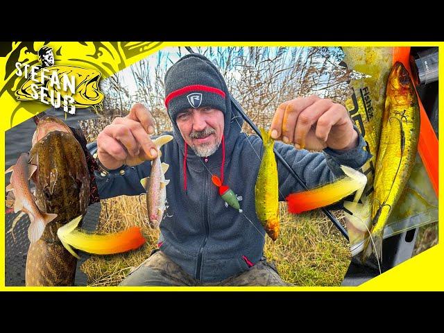 PIKE at the Unknown LAKE | BAIT FISH or RUBBER? | Winter fishing for predatory fish