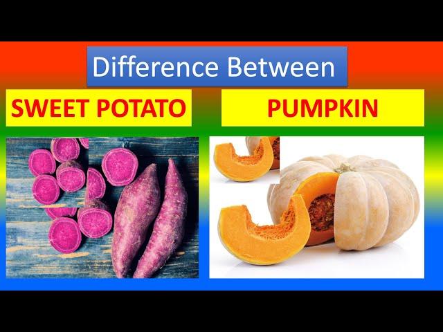 Differences Between Medical And Health Benefits Of Pumpkin  and  Sweet potato