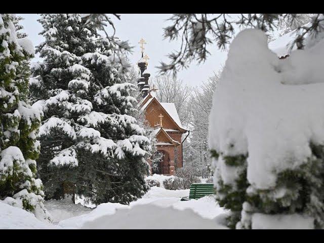 07.01.2025. Вторник. Божественная Литургия. Рождество Господа Бога и Спаса нашего Иисуса Христа.