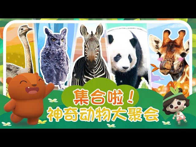 Compilation | Welcome to the Zoo! | Emmy&GooRoo Nature Class | Kids Cartoons [SUBS]