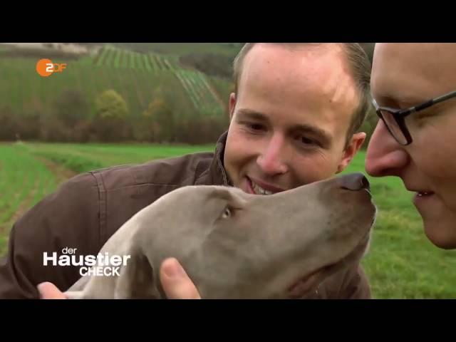 Der Haustier Check   Staffel 3   Folge 4   25 09 2016