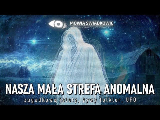 Nasza mała strefa anomalna || Mówią Świadkowie - Odc. 74