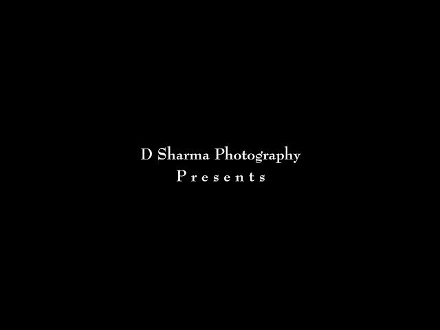 D sharma photography