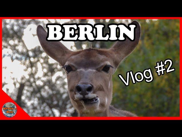 Berlin Vlog #2 |#martinswelt