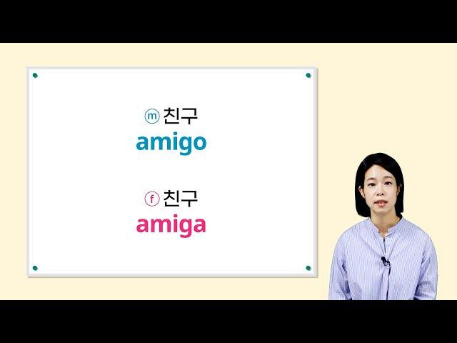 [기초 스페인어/문법/명사편] 스페인어 명사의 성과 수