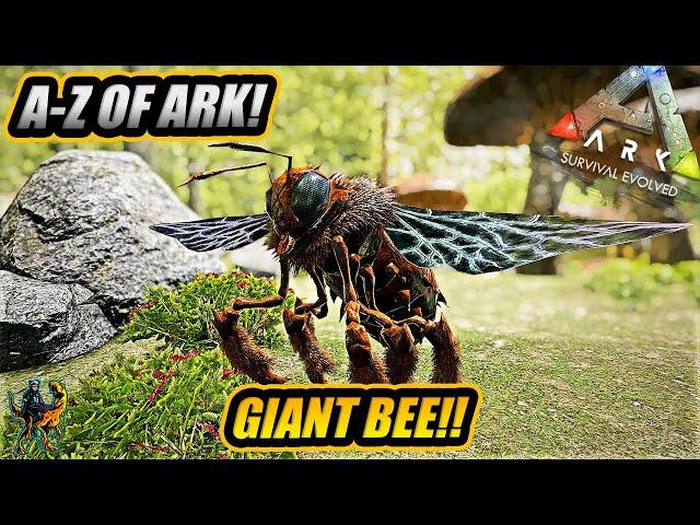 A-Z Of Ark! The GIANT QUEEN BEE And Why Its The Hardest Creature To Tame!! || Ark Survival Evolved!