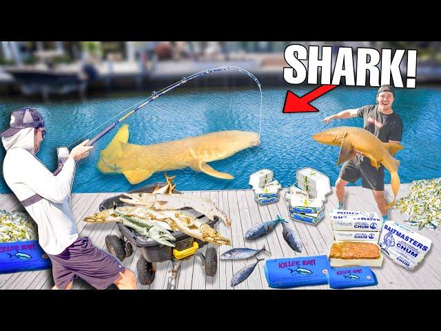 FINDING SEA MONSTERS Using 1,000 LBS of Dead Fish... (Monster Shark)