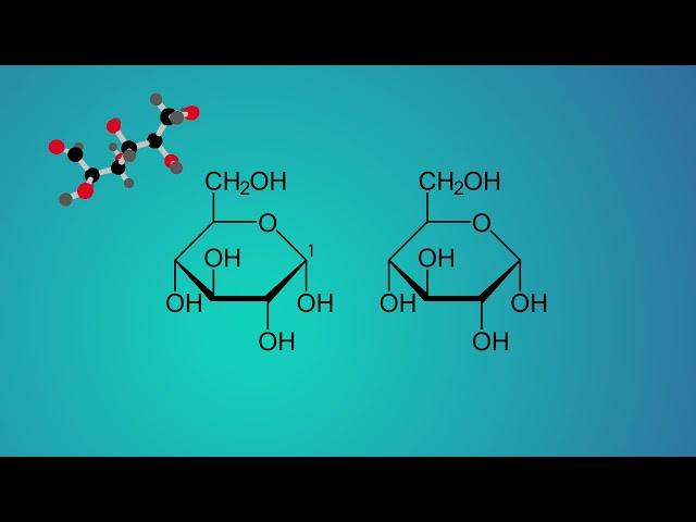 Chemiefilm Polysaccharide