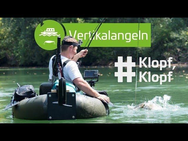 Klopfen auf Wels mit Würmern, Muscheln und Co. | www.zeck-fishing.com