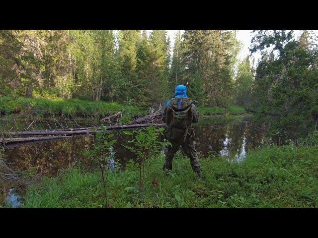 ДОБРАЛСЯ ДО БАЛАГАНА И СРАЗУ НА РУЧЕЙ ЗА ОКУНЯМИ. РЫБАЛКА В ГЛУХОЙ ТАЙГЕ. ТАЁЖНЫЙ РУЧЕЙ ПОРАДОВАЛ.