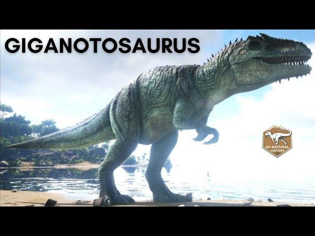 GIGANOTOSAURUS - THE LARGEST MEAT-EATING DINOSAUR OF SOUTH AMERICA