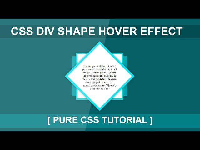 Css Div Hover Effect Tutorial - html5 Css3 Hover Effect