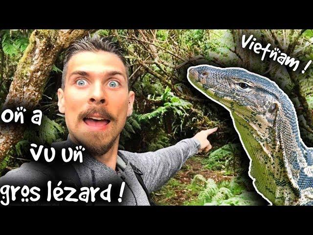 FACE AU PLUS GROS LEZARD D'ASIE ! - VIET NAM