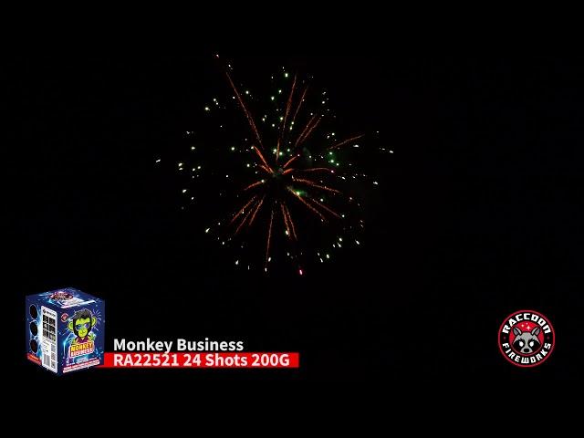 Monkey Business RA22521 Raccoon Fireworks 2021 New Product 24 Shots