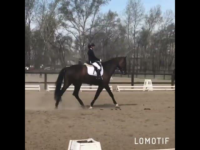 Кожарская Анастасия и Конкорд