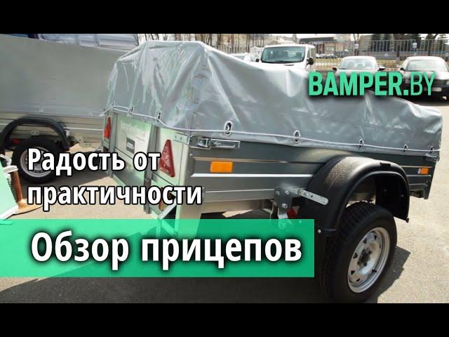 Легковые прицепы: виды, особенности, критерии выбора