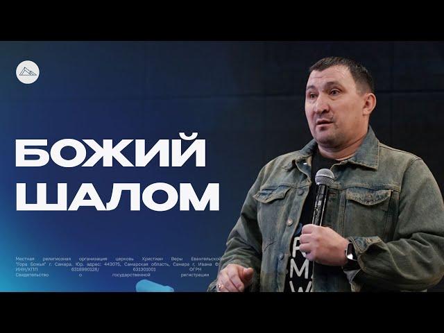 Божий Шалом || Максим Николаев