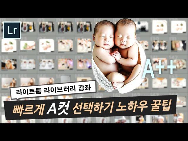 라이트룸강좌  - 라이브러리 꿀팁! 마음에 드는 사진 빠르게 골라내기