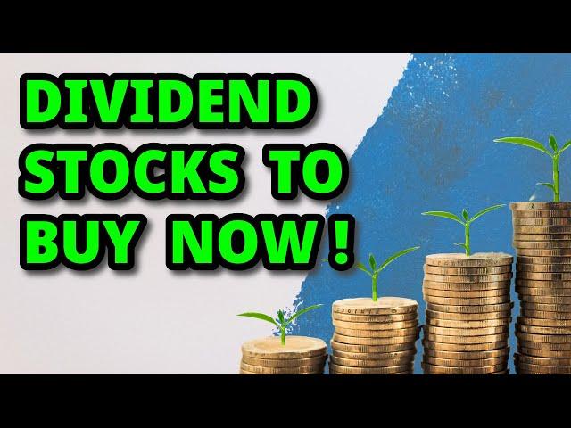 Best Dividend Stocks to Buy NOW!