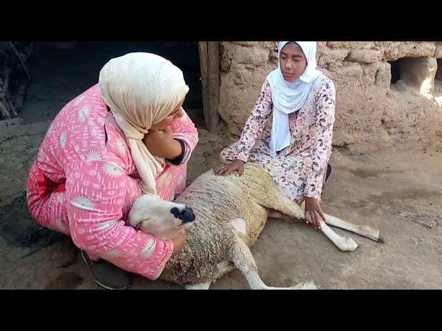 دعوتكم مع  نعيجه  تاع اختكم الكبيره هاد اللحظه شحال صعيبة ربي  يفرج عليها