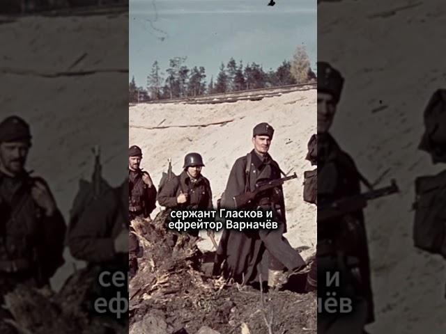 Почему Финны перестали брать советских солдат в плен, а стали РАССТРЕЛИВАТЬ на месте? #shorts