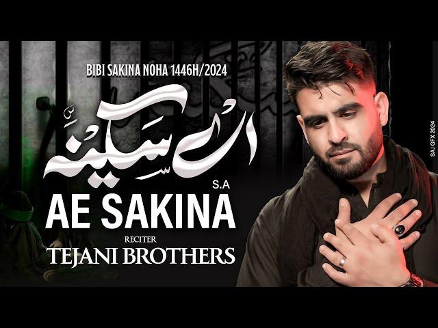 Bibi Sakina Noha 2024 | AE SAKINA | Tejani Brothers | 13 Safar Shahadat Bibi Sakina Noha 2024