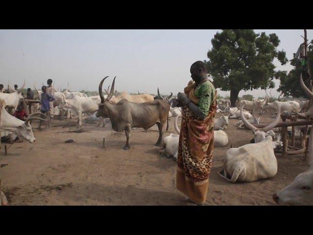 The Remarkable Mundari of South Sudan