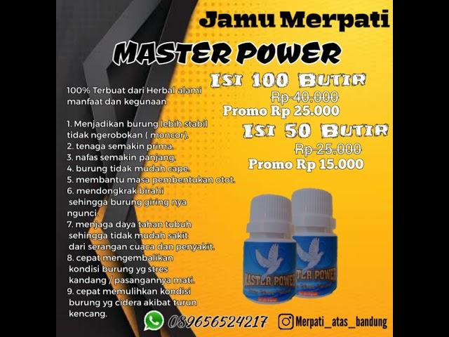 jamu merpati Master Power