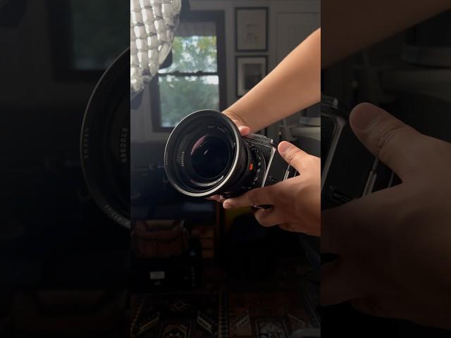 The legendary Carl Zeiss 40mm f4 Distagon for the Hasselblad 500 Series
