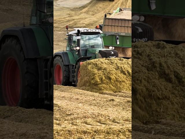 Silo Walzen #farming #landwirtschaft #tractor #traktor #agriculture #lpgostharz #fyag