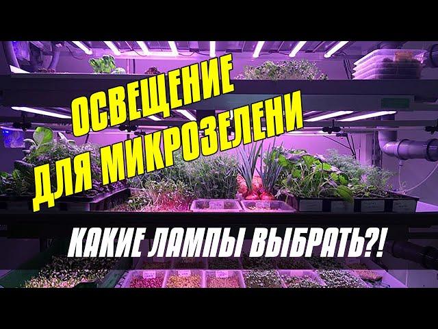 #МИКРОЗЕЛЕНЬ #РАССАДА МИКРОЗЕЛЕНЬ И РАССАДА | ПОДСВЕТКА ДЛЯ РАССАДЫ | ЛАМПЫ ДЛЯ РАССАДЫ | ФИТОЛАМПА