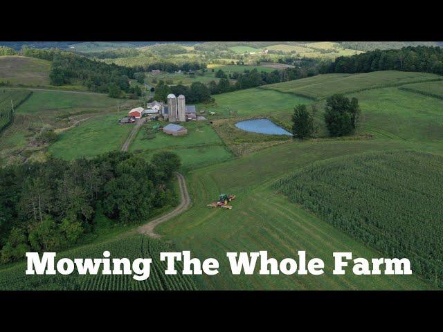 Mowing 2nd Cutting Dry Hay In Record Time