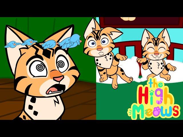 Five Little Cats Jumping on the Bed | Fun Nursery Rhymes by The High Meows