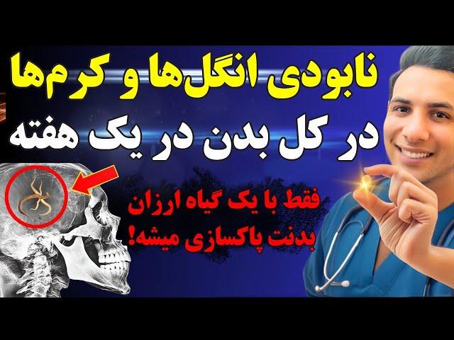 فقط ۲ قاشق از این گیاه برای نابودی کل کرم ها و انگل های بدن  و تقویت سیستم ایمنی