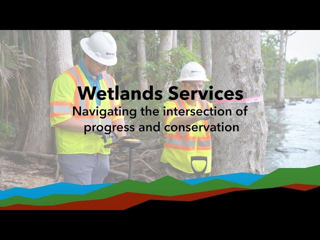 Wetlands Services - Navigating the intersection of progress and conservation