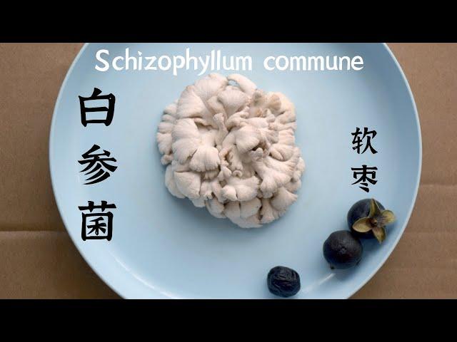 白参菌、软枣【EN CN】 a mushroom and a fruit  云南美食 中国美食