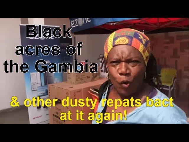 Black acres of the Gambia, Travel with Tay Tay and other dusty repat Negros are back at it again!