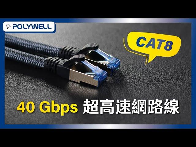 CAT8 40Gbps 超高速網路線｜POLYWELL 寶利威爾