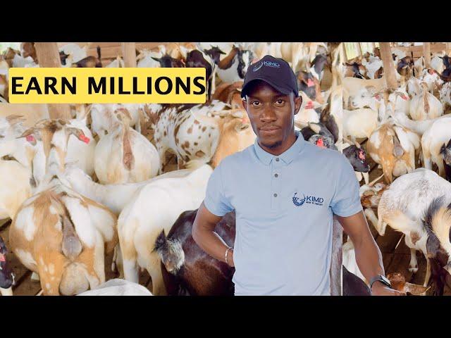 How to Earn Millions of Money from a zero-grazing Goat Farm | Detailed Video| 2024