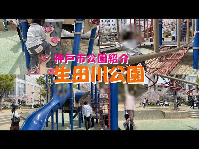 【神戸市公園紹介】生田川公園 布引 若葉通 花見 桜 中央区 神戸市 子連れ 幼児