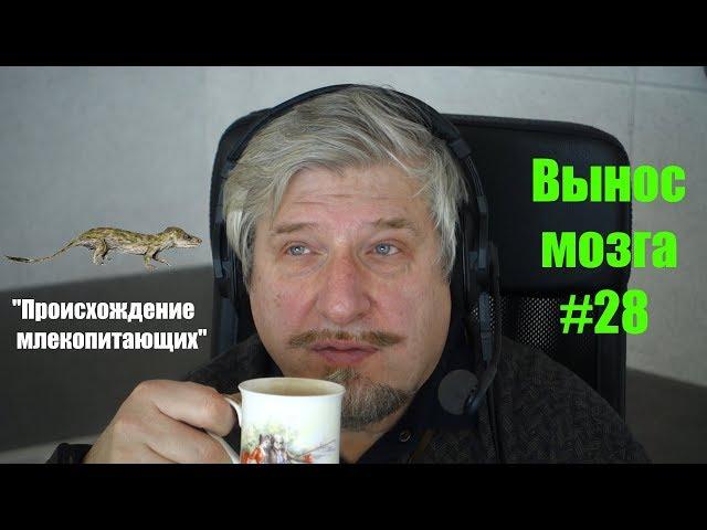 Сергей Савельев. Происхождение млекопитающих (Вынос мозга #28)