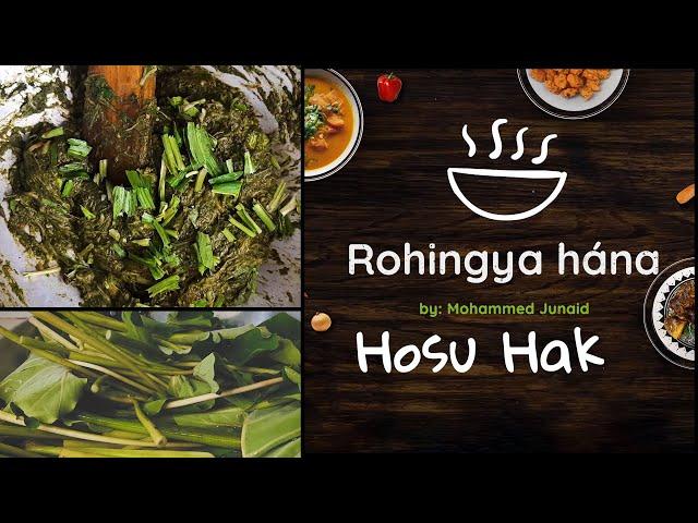 Hosu Hak | rohingya #hana #zitatv