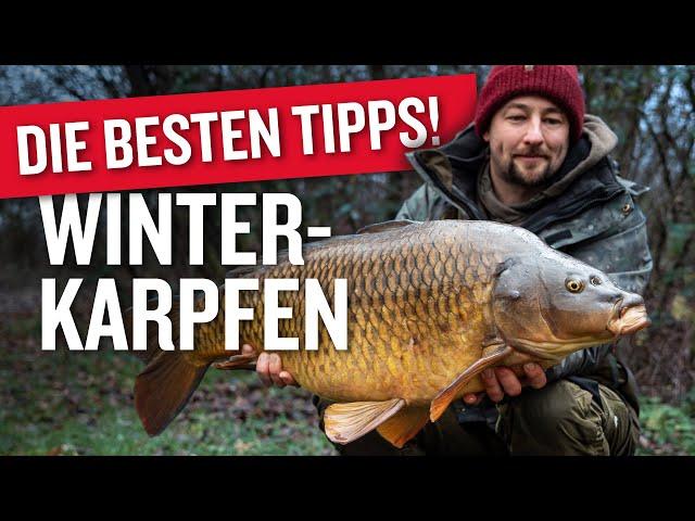 Karpfenangeln im Winter: DIESE TIPPS machen den Unterschied! ️