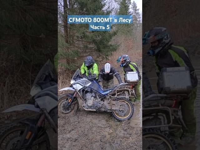 В лесу на #CFMOTO #800mt Часть 5