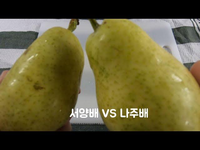 What I Eat In a day #02 Pear vs Asian Pear ::Snacks a day::