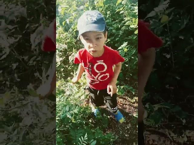 вова. и. илья