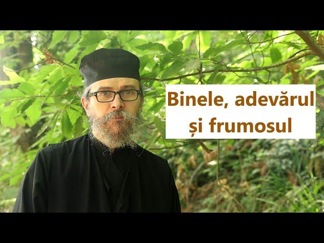 Binele, adevărul și frumosul - p. Teologos