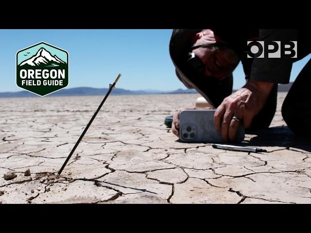 Oregon man attempts to shoot an arrow farther than anyone on Earth | Oregon Field Guide