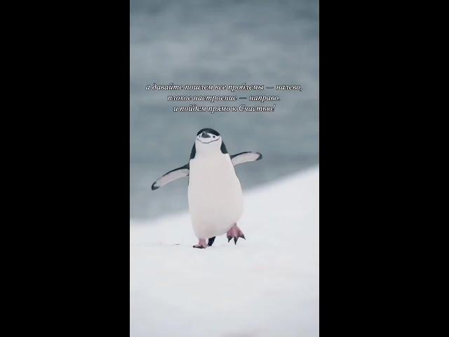 Движение к счастью #психолог